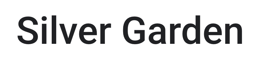 Silver Garden class descriptions — pole dance levels and styles